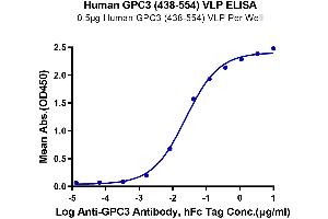 ELISA image for Glypican 3 (GPC3) (AA 438-554) (Active) protein-VLP (ABIN7448166)