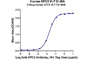 ELISA image for Glypican 3 (GPC3) (AA 510-554) (Active) protein-VLP (ABIN7448165)