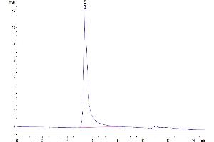 Size-exclusion chromatography-High Pressure Liquid Chromatography (SEC-HPLC) image for Chemokine (C-C Motif) Receptor 2 (CCR2) (AA 1-360) (Active) protein-VLP (Biotin) (ABIN7448154)